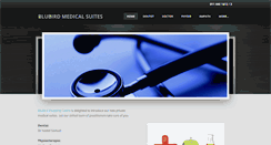 Desktop Screenshot of blubirdmedical.com